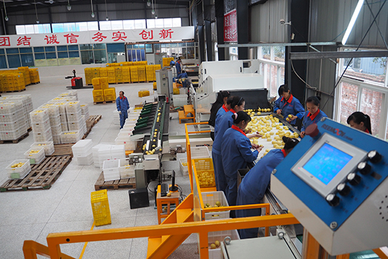 精準扶貧下初級農(nóng)產(chǎn)品的標志性品牌打造路徑