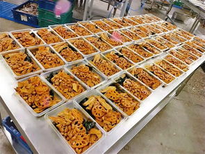 莎家邦速食食品批發(fā) 河北優(yōu)質(zhì)初級(jí)農(nóng)產(chǎn)品在線咨詢服務(wù)